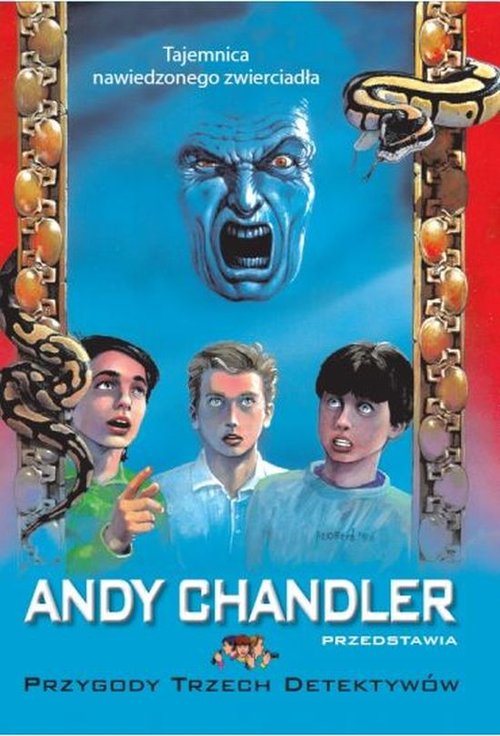 Image of Tajemnica nawiedzonego zwierciadła Tom 20