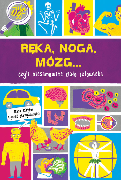 Image of Ręka, noga, mózg... czyli niesamowite ciało człowieka
