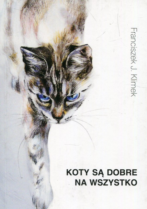 Image of Koty są dobre na wszystko