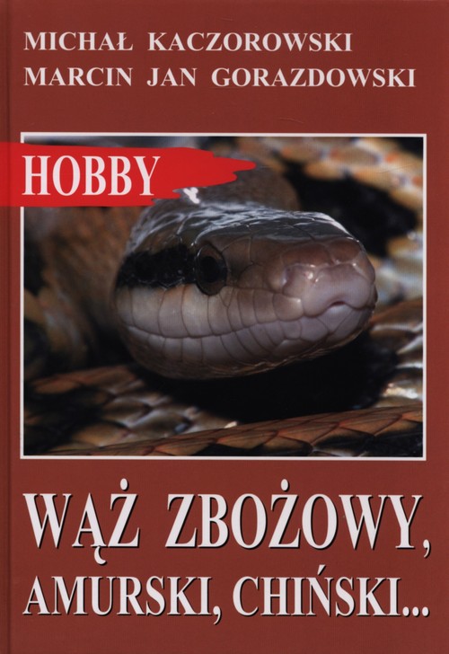 Image of Wąż zbożowy, amurski, chiński…