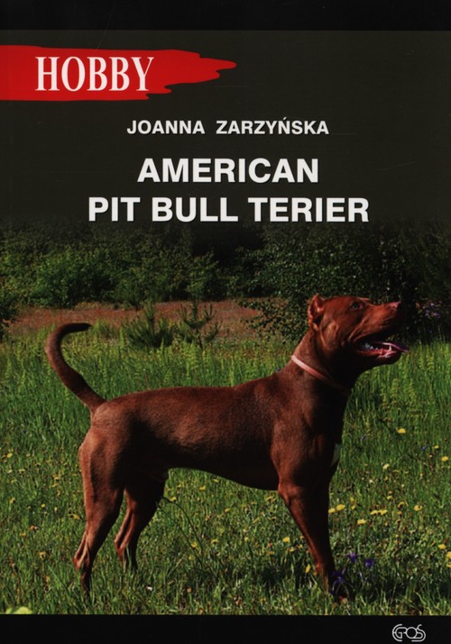Image of American pit bull terier