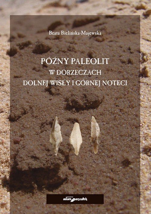 Image of Późny paleolit w dorzeczach Dolnej Wisły i Górnej Noteci