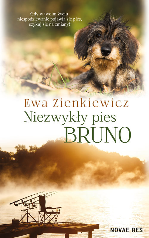 Image of Niezwykły pies Bruno