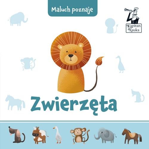 Image of Maluch poznaje Zwierzęta