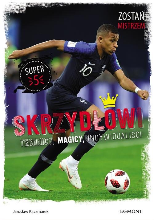 Image of Skrzydłowi Technicy magicy indywidualiści