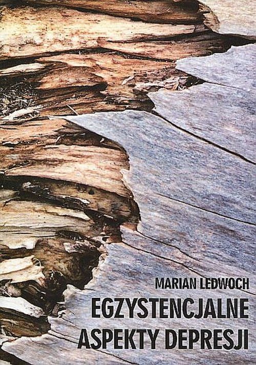 Image of Egzystencjalne aspekty depresji