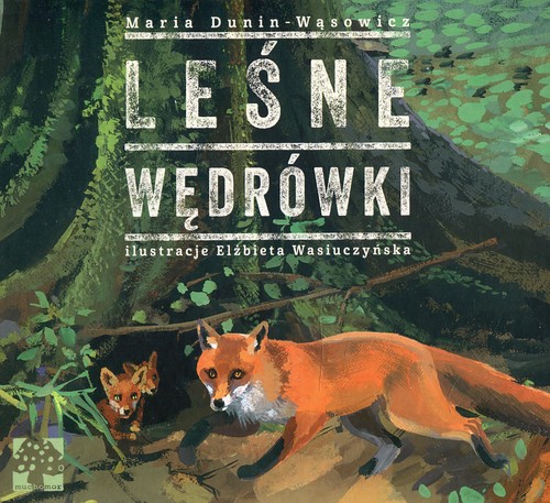 Image of Leśne wędrówki