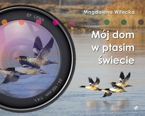 Image of Mój dom w ptasim świecie