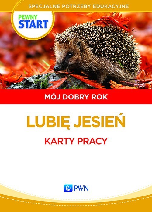 Image of Pewny start Mój dobry rok Lubię jesień Karty pracy Specjalne potrzeby edukacyjne