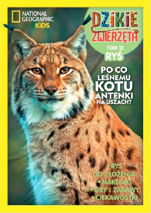 Image of Dzikie Zwierzęta 12 Ryś
