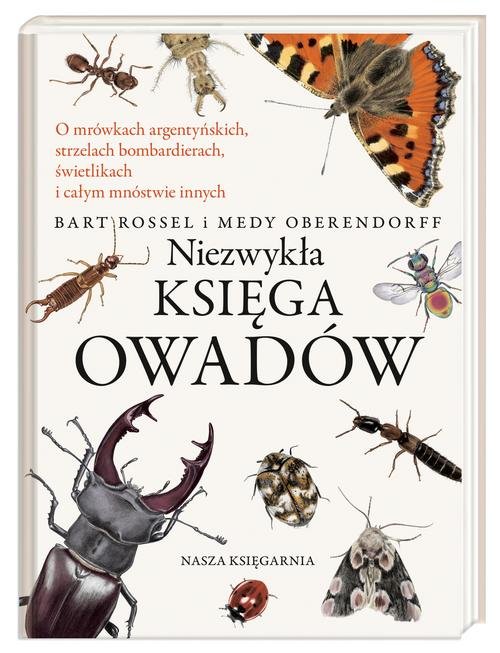 Image of Niezwykła księga owadów