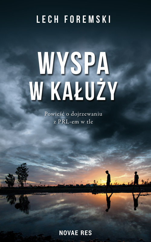 Image of Wyspa w kałuży