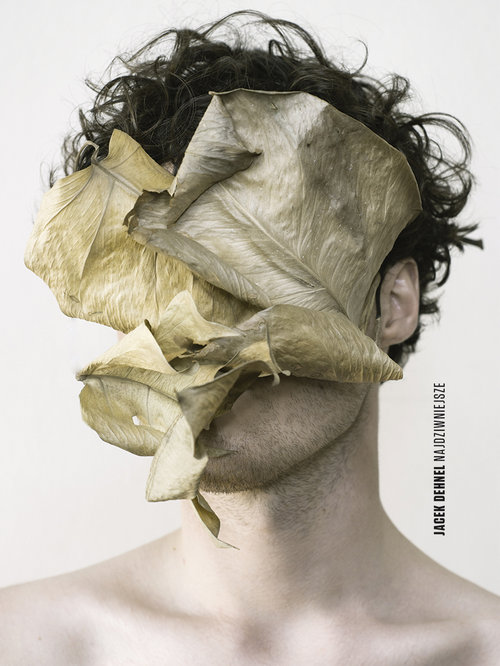 Image of Najdziwniejsze