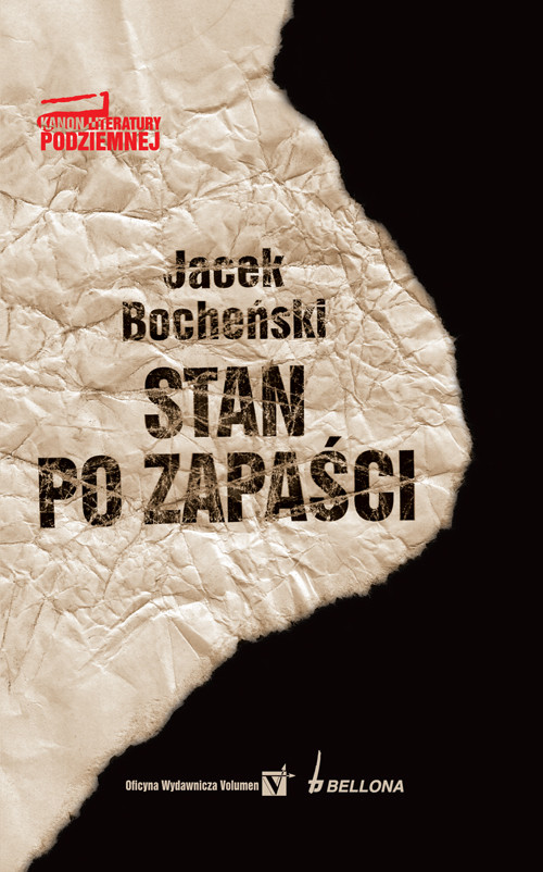 Image of Stan po zapaści