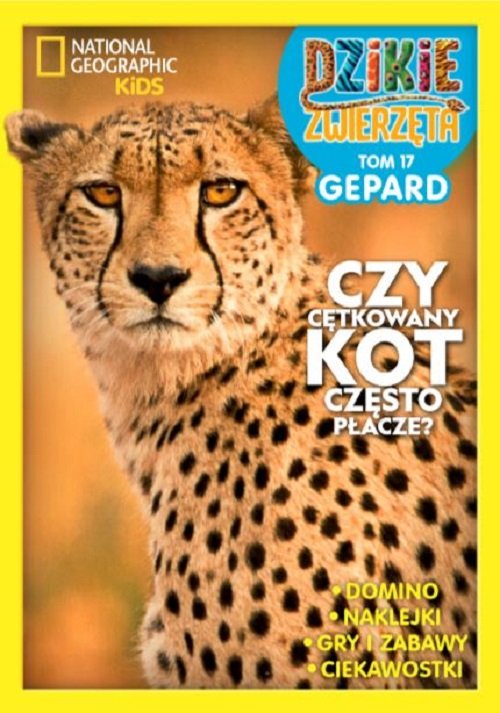 Image of Dzikie Zwierzęta część 17 Gepard