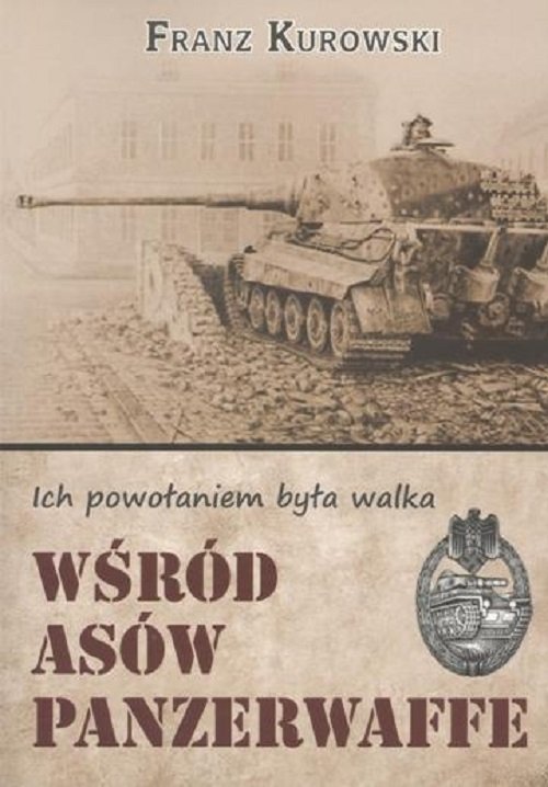 Image of Wśród asów Panzerwaffe