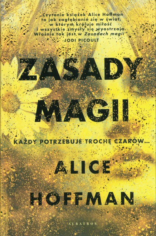 Image of Zasady magii