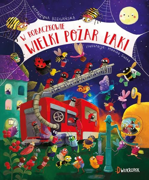 Image of W Robaczkowie Wielki pożar łąki