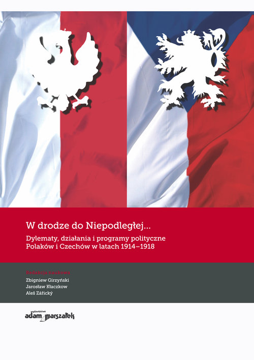 Image of W drodze do Niepodległej Dylematy działania i programy polityczne Polaków i Czechów w latach 1914-1918