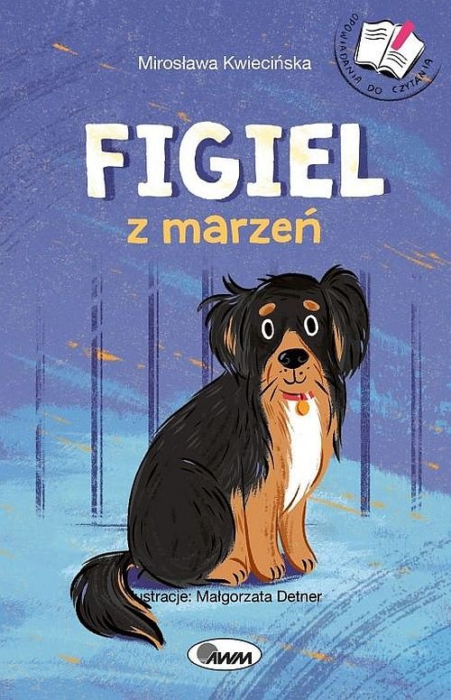 Image of Figiel z marzeń Opowiadania do czytania