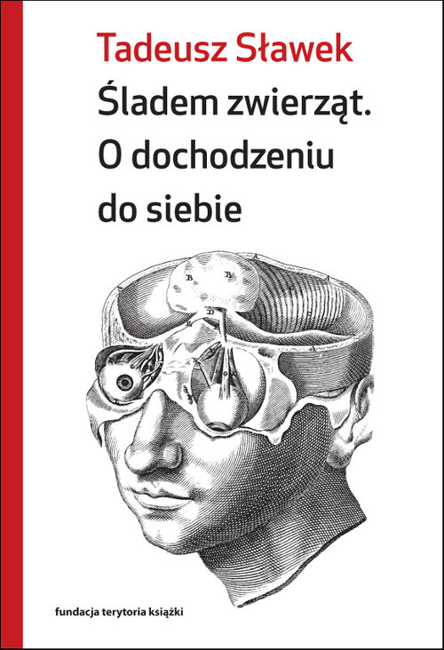 Image of Śladem zwierząt O dochodzeniu do siebie