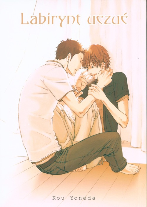 Image of Labirynt Uczuć