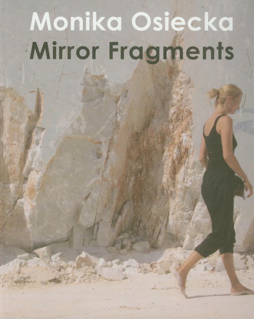 Image of Mirror Fragments