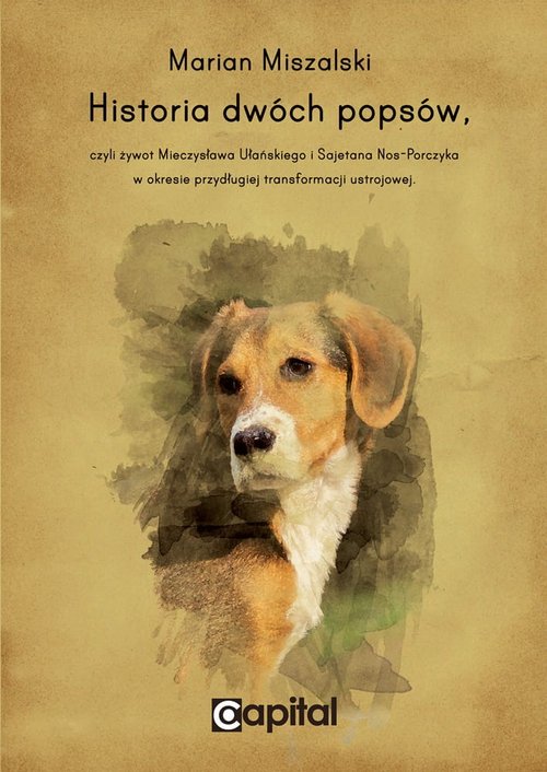 Image of Historia dwóch popsów