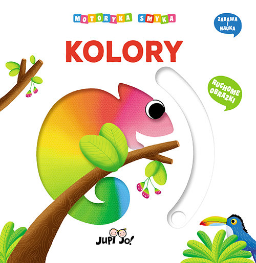 Image of Kolory Motoryka smyka