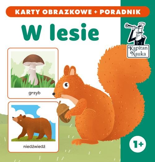 Image of W lesie (karty obrazkowe + poradnik)