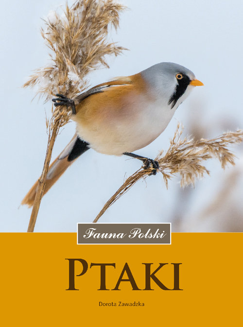 Image of Ptaki Fauna Polski