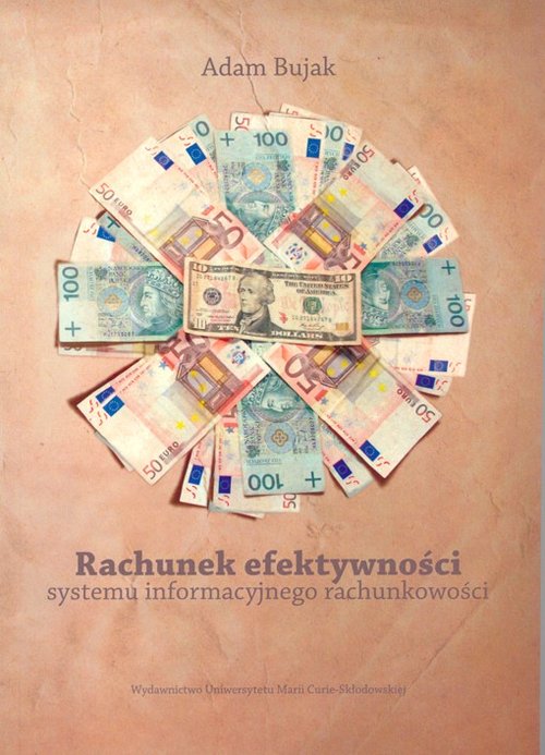 Image of Rachunek efektywności systemu informacyjnego rachunkowości