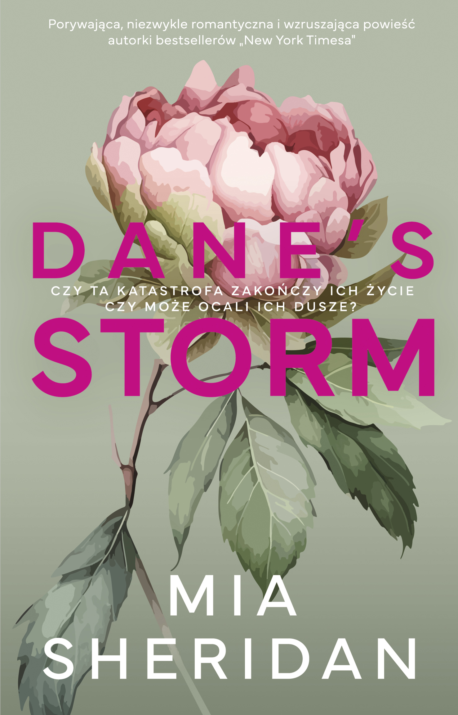 Image of Dane's Storm