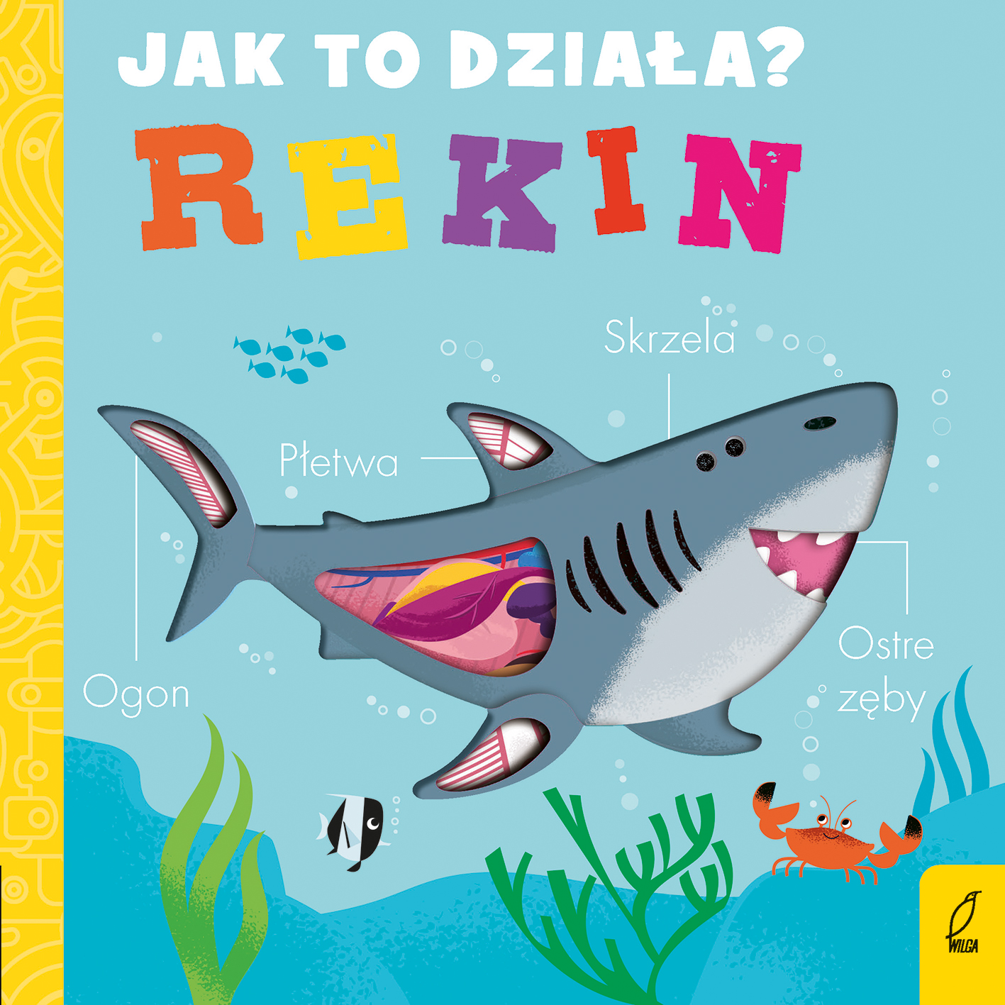 Image of Jak to działa Rekin