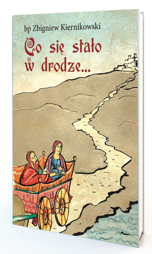 Image of Co się stało w drodze