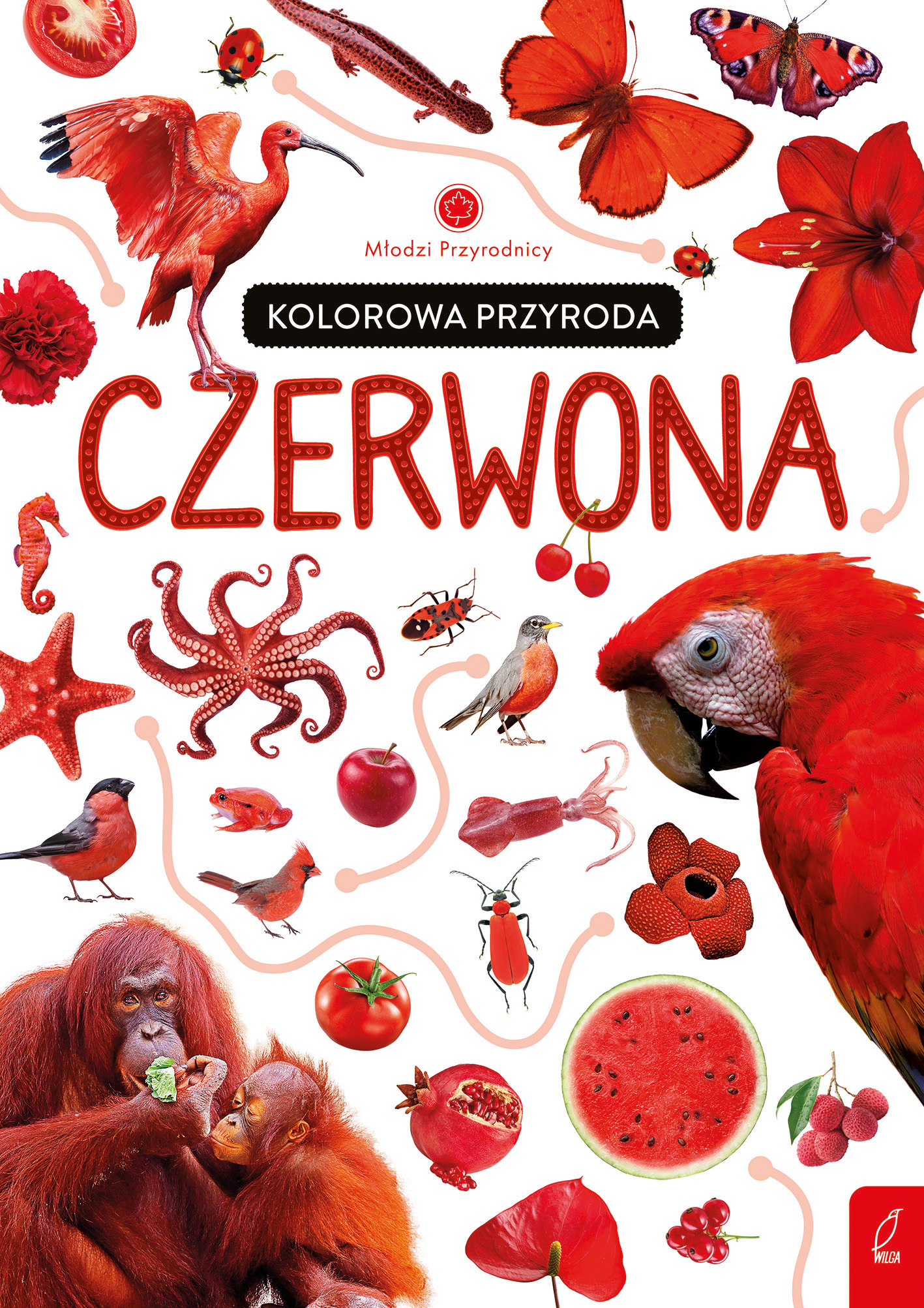 Image of Kolorowa przyroda. Czerwona. Młodzi przyrodnicy