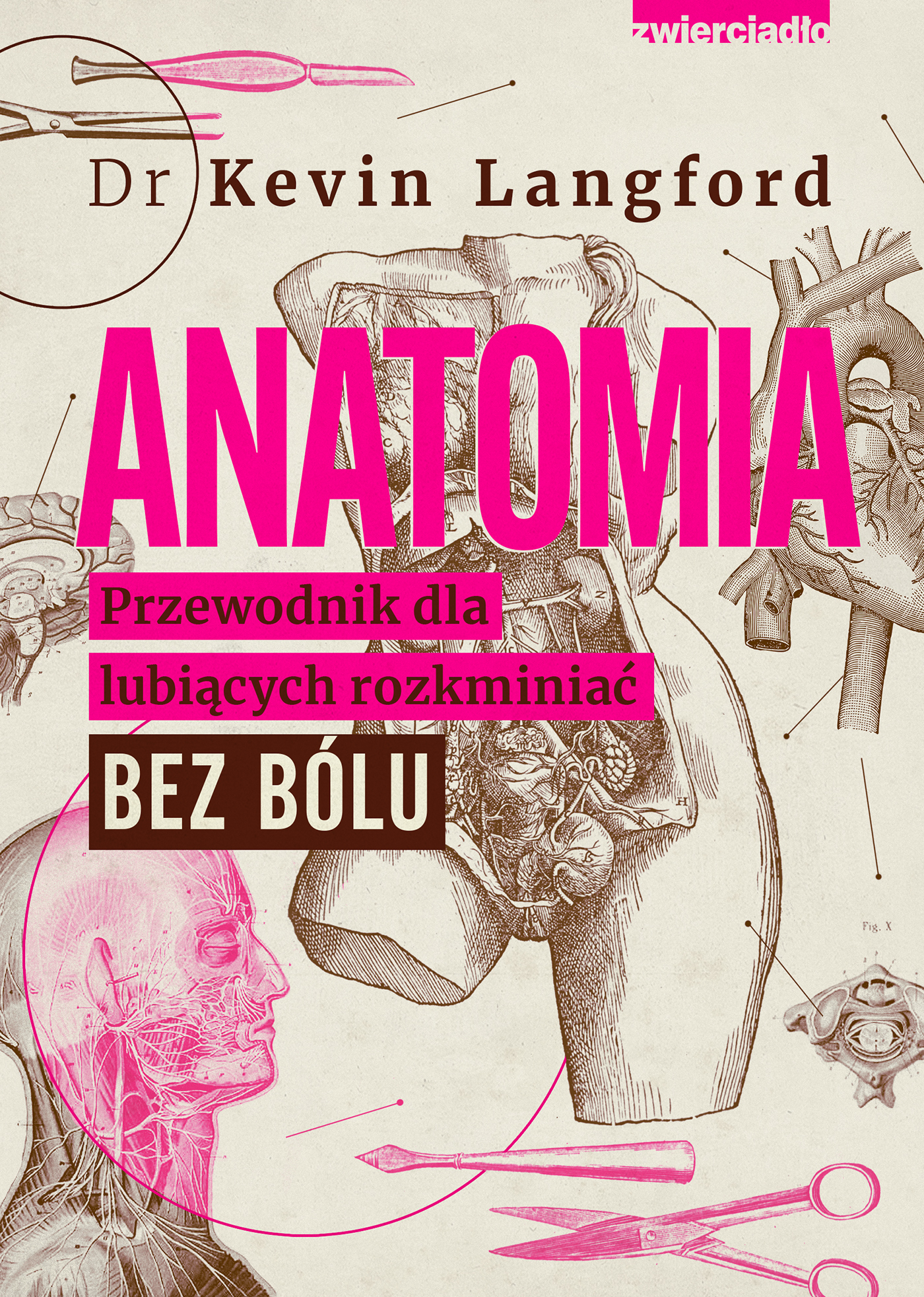 Image of Anatomia. Przewodnik dla lubiących rozkminiać bez bólu
