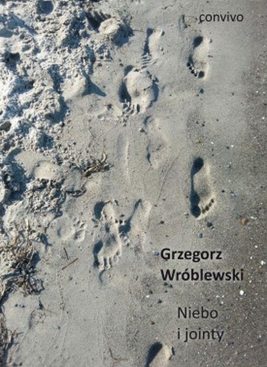 Image of Niebo i jointy