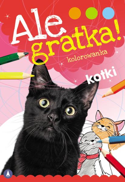 Image of Kotki. Ale Gratka!