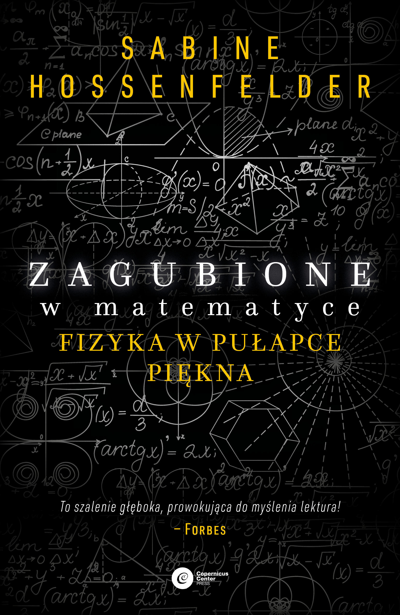 Image of Zagubione w matematyce. Fizyka w pułapce piękna wyd. 2