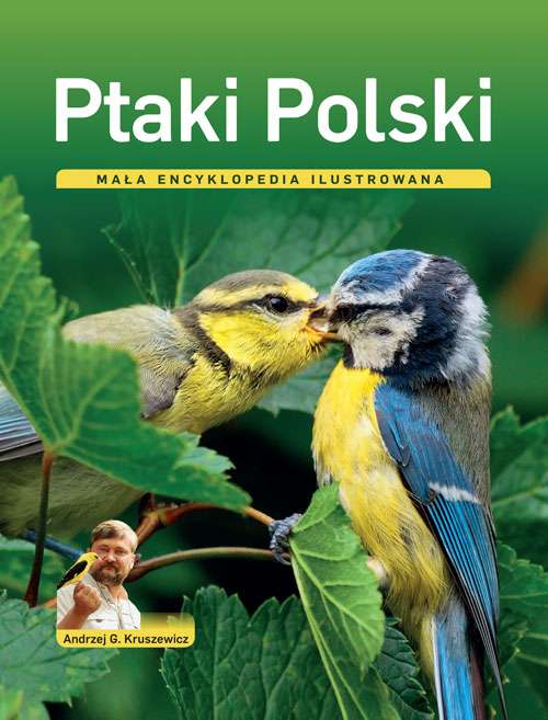 Image of Ptaki polski mała encyklopedia ilustrowana