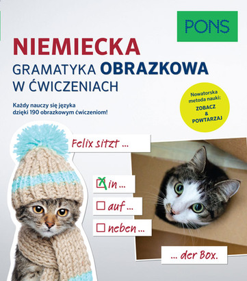 Image of Niemiecka gramatyka obrazkowa w ćwiczeniach PONS