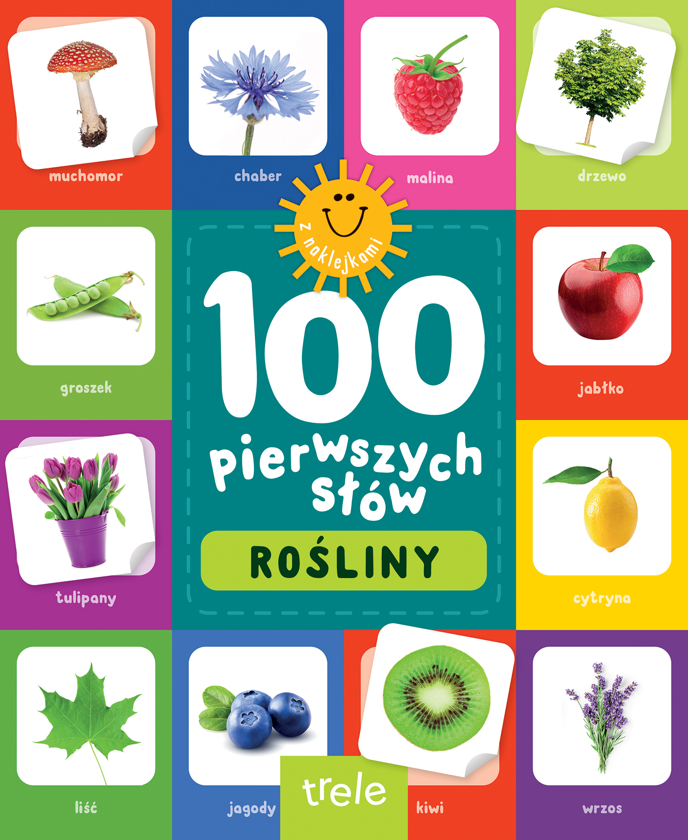 Image of 100 pierwszych słów z naklejkami. Rośliny