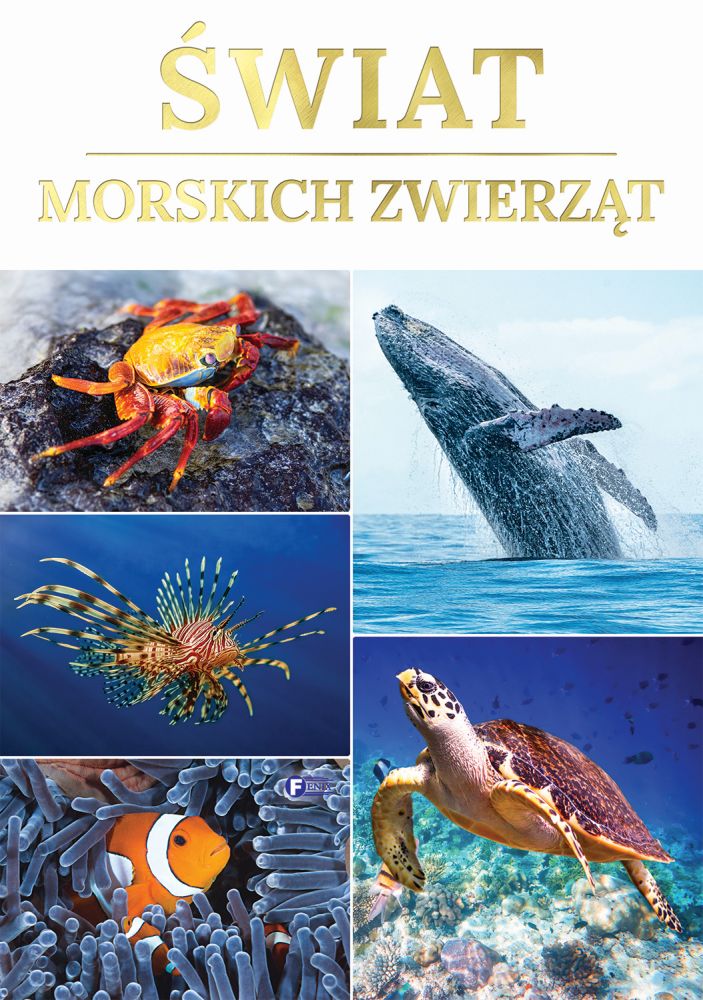 Image of Świat morskich zwierząt