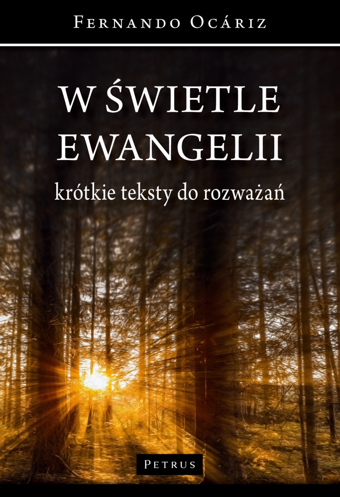 Image of W świetle ewangelii. Krótkie teksty do rozważań