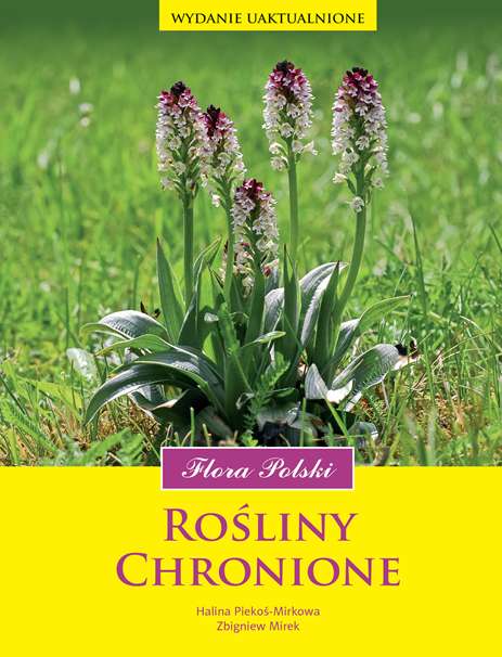 Image of Rośliny chronione flora polski