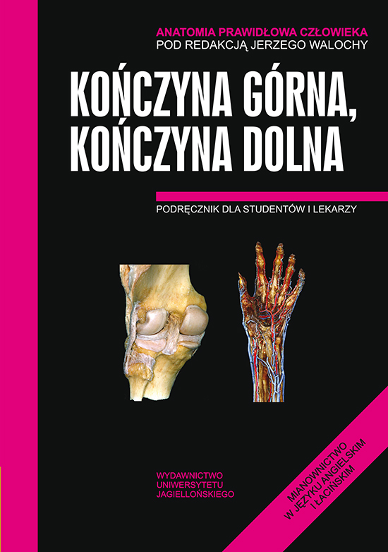 Image of Anatomia prawidłowa człowieka kończyna górna kończyna dolna podręcznik dla studentów i lekarzy