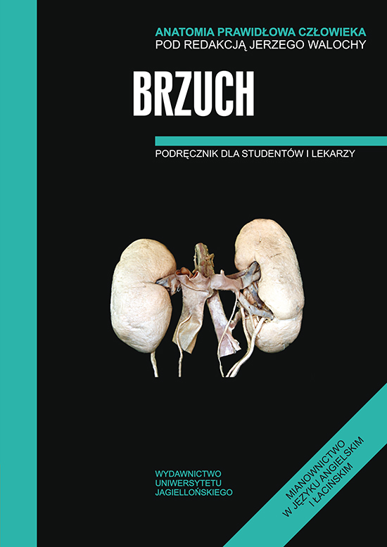 Image of Anatomia prawidłowa człowieka brzuch podręcznik dla studentów i lekarzy