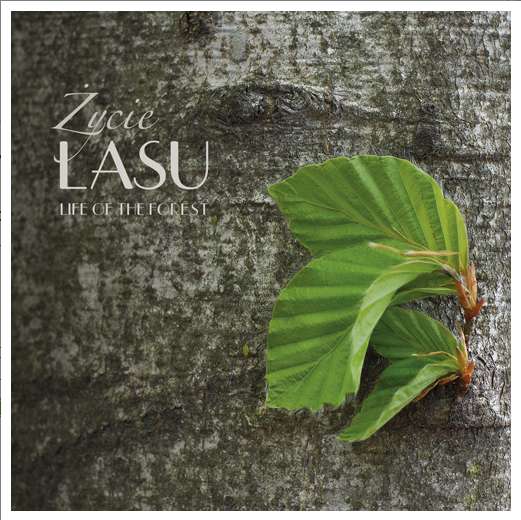 Image of Życie lasu