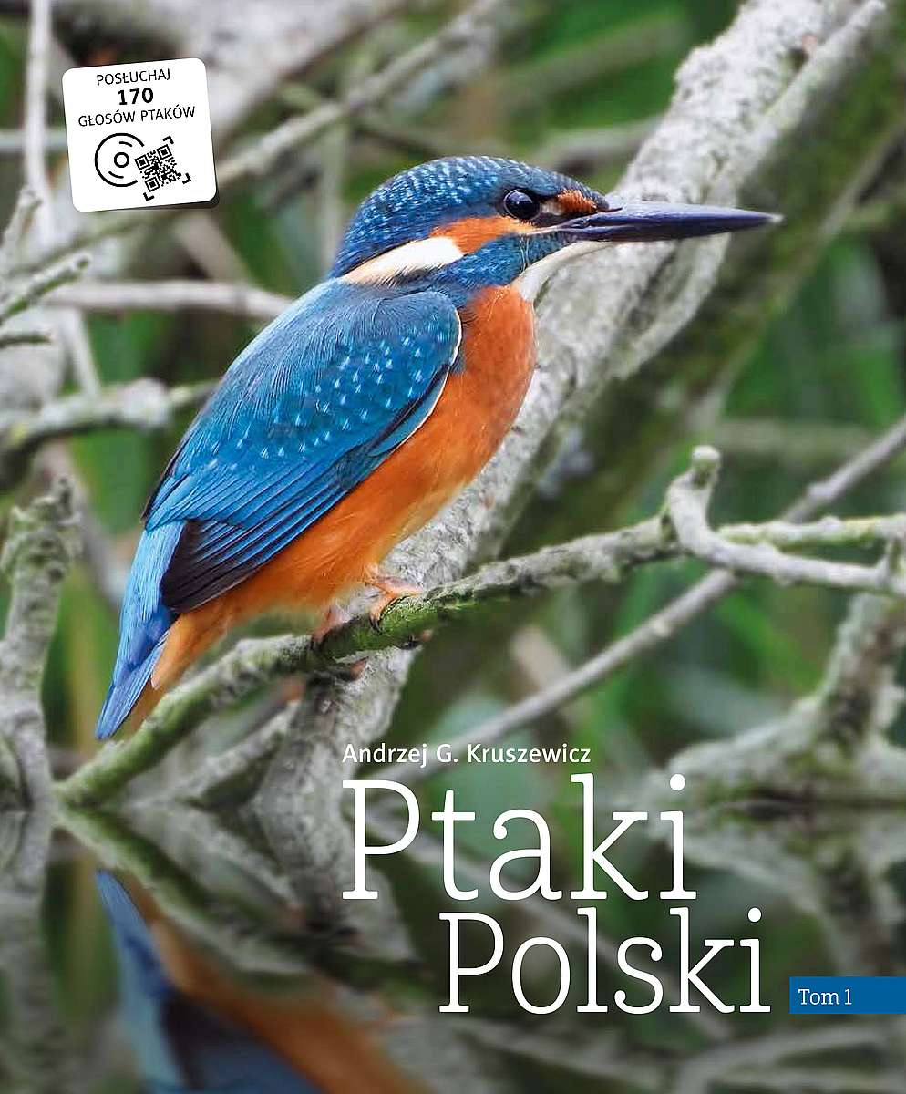 Image of Ptaki Polski. Tom 1